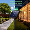 Daidasy 2 Pack Solar Curtain Light Outdoor, 20ft x 10ft,
