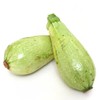 Palm Beach Medicinal Herbs - Lebanese White Bush Marrow Squash
