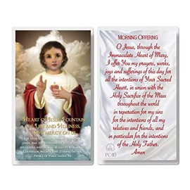 THE SAINTS COLLECTION Set of 20 Laminated Catholic Prayer Cards - Child Jesus Prince of Peace