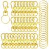 120PCS Premium Swivel Lanyard Snap Hook with Key Rings, Metal