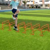 Lineslife Adjustable Agility Hurdles,4 Height Speed Training Hurdles, Portable Speed