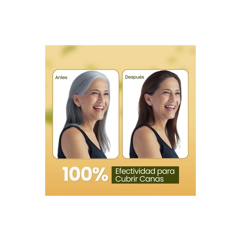 Shampoo Tinte Instantáneo Cubre Canas Natural Jengibre 500ml