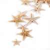 100 Pcs Small Starfish Star Sea Shell Beach for Craft