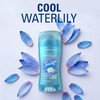 Secret Invisible Solid Antiperspirant and Deodorant, Waterlily Scent, 2.6 oz