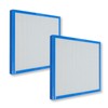 PUREBURG 2-Pack Replacement True HEPA Air Filter Compatible with HoMedics