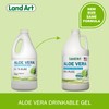 Organic Aloe Vera Drinkable Gel for Heartburn & Acid Reflux