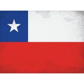 Ontrada Tin Sign 20 x 30 cm Domed Chile Flag of Chile Vintage Decorative Gift Sign