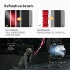 Dog Lead, Adjustable Dog Lead with Safety Belt for Dogs,
