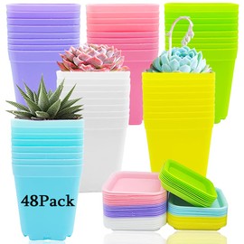 48 Pack 3 Inch Colorful Plastic Plant Pot,Plastic Square Nursery Pots,Seedling Nursery Pots with Saucers for Garden,Home,Office,Balcony Decor,Garden Gifts