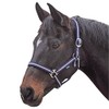 Shires Wessex Pony/Horse Headcollar Full Navy/Silver