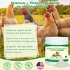 Selenium and Vitamin E Powder for Chickens, Selenium for Chickens,