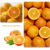 Mix Dwarf Bonsai Fruit Tree Seeds for Planting, 50+ Lemon