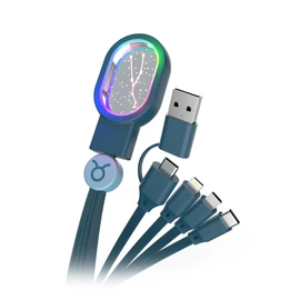 MOB – MOBILITY ON BOARD Light cable ASTRO 4EN1 universal – Taurus