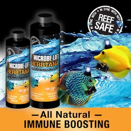 MICROBE-LIFT HERB16 Herbtana Immune Booster and Natural Parasite Remover for Freshwater and Saltwater Home Aquariums and Fish Tanks, 16 Ounces