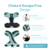 Gooby Comfort X One Dog Harness - Head-in Dog Harness
