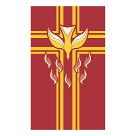 CCS Banner-Confirmation/Pentecost w/Pole Hems (2' x 6')