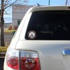 2x 2nd Amendment - America's Original Homeland Security Round Bumper
