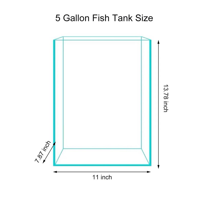 Vimvins 5 Gallon Glass Fish Tank, Easy to Maintain Small