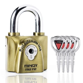 60mm High Security Heavy Duty Lock with Keys Gym Warehouse Waterproof Keyed Padlock for Outdoor Use Top Security Lock with 4 Keys