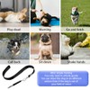 2 Pack Dog Whistles to Stop Neighboring Dog Barking, Professional