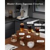 Espresso Machines 20 Bar with LED Touchscreen, Adjustable Temperature(185~203°F) Timing(25~60s),
