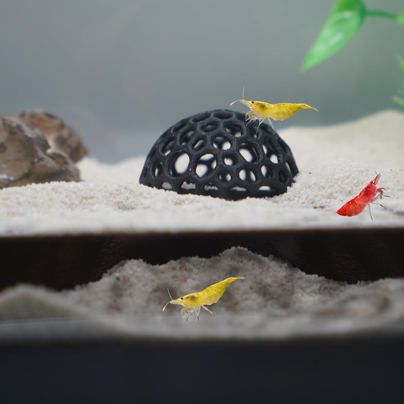 CTWPets Shrimp Breeding Protection Set, 3-Pack Bundle with Hide Dome,