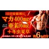 たっぷり濃縮マカ亜鉛+冬虫夏草 360粒 約6か月分