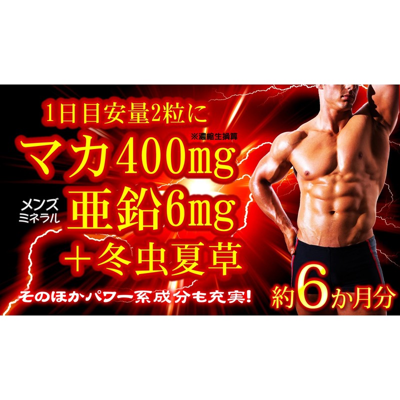 たっぷり濃縮マカ亜鉛+冬虫夏草 360粒 約6か月分