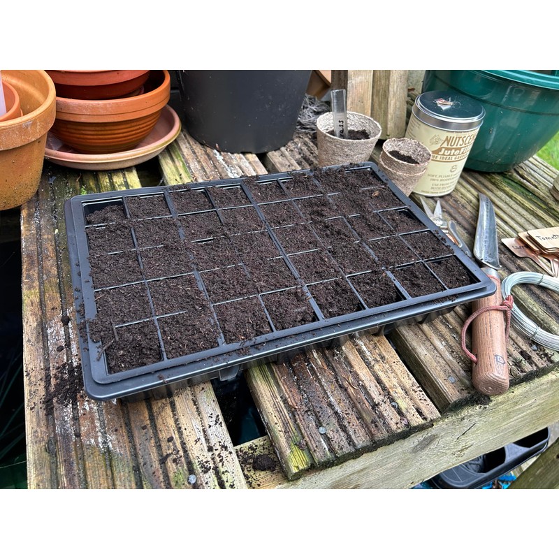 Bramley & Sage 40-Cell Cavity Tray Inserts Black (Set of
