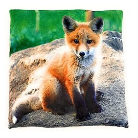 Onwomania Fox Wild Dog Forest Plush Cushion for Sofa or Bed as Decoration, Decoration or Cuddly Cushion 35 x 35 cm