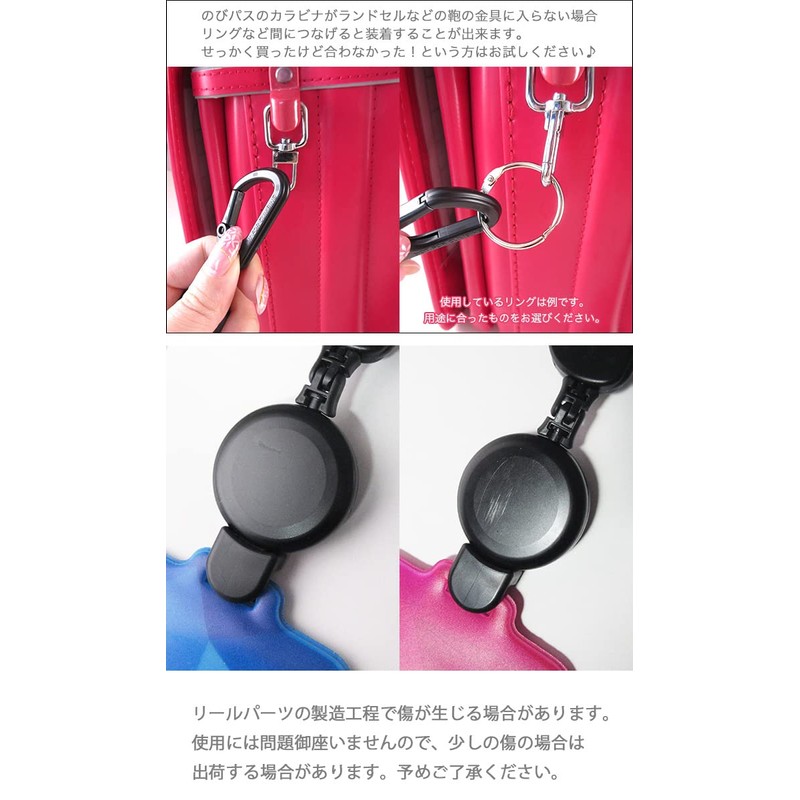 Hawkeye Pass Reflecting Light Pass Case with Expandable Reel Design,
