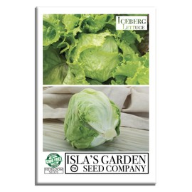 Iceberg Lettuce Seeds (Lactuca Sativa VAR) – 2500+ Heirloom Non-GMO Seeds by Isla’s Garden Seeds, Crisp Round Heads, Cool-Season Crop, Refreshing Flavor, Ideal for Salads & Sandwiches, Easy to Grow