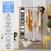 Kenning 4 Pack Hanging Shoe Shelves 10 Shelf Hanging Shoe
