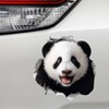 Panda Hole Wall Decal – 3D Cute Animal Sticker –