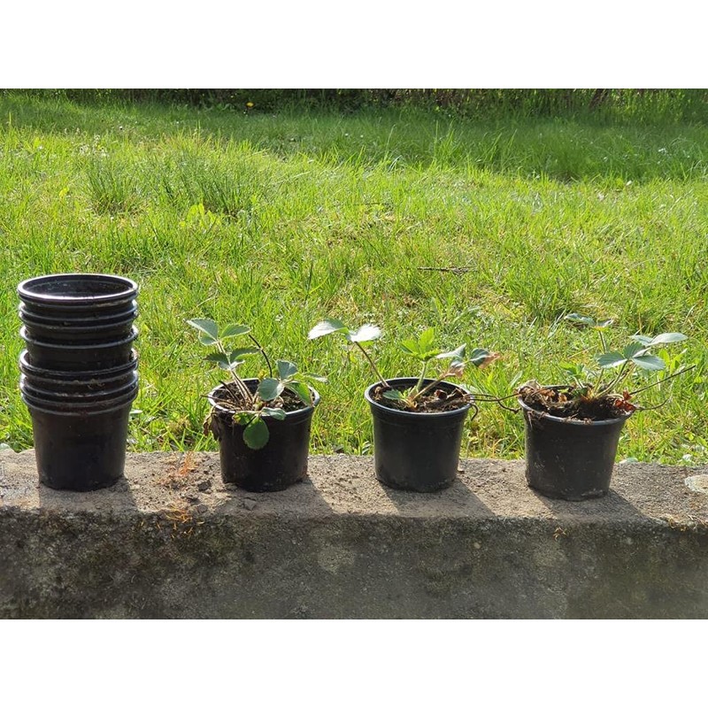 Göttinger Round Pots Diameter 10 x 7.5 cm Black Pack