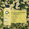 Acondicionador Herbal Essences Manzanilla & Pasiflora 400 ml