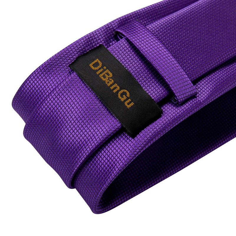 DiBanGu Mens Purple Solid Tie Classic Tie Set Pocket Square