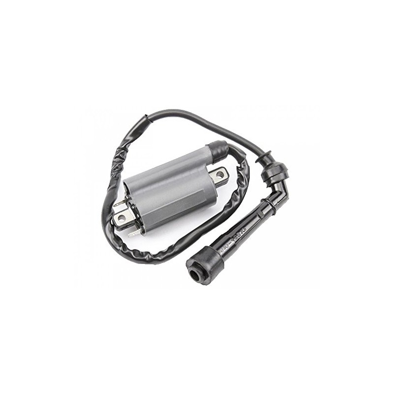 Twowinds Motorcycle Ignition Coil Ignition Coil Motorcycle Ignition Coil Scooter
