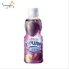 웅진 상쾌한 푸룬부스터 200ml Woojins Refreshing Prune Booster 200ml