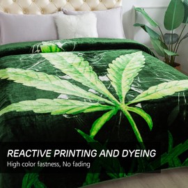 JYK Plush Fleece Blanket Queen Size 91" x 75", 3.7LBs 1 Ply Soft Korean Mink Warm Lightweight Bed Blanket for All Season Ideal Home Decor Blanket Gift