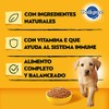 PEDIGREE Alimento para Perros Cachorros, Sabor Pollo Carne Molida 375