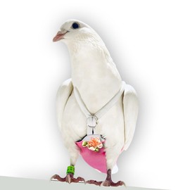 FLYPER Adjustable Mini Bird Diaper | Reusable, Washable Cloth | Comfort Fit for Parrots, Cockatiels, and Other Small Birds | Fashionable Avian Accessories (Sparkly Rose, Size 8.5)