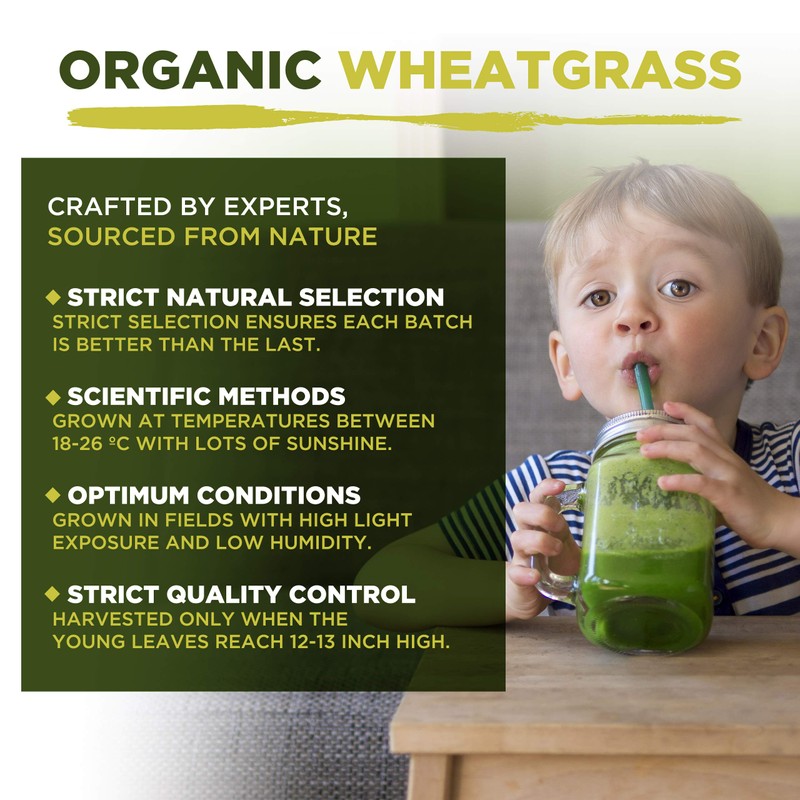MySuperfoods Organic Wheatgrass Powder 500g, High Chlorophyll Content