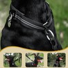 OneTigris Zug-Stopp Dog Collar, Soft Padded Wide Dog Collar with