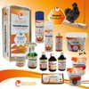 Eivolution Organic Chicken Feed Pellets 800 g - Oregano Herb