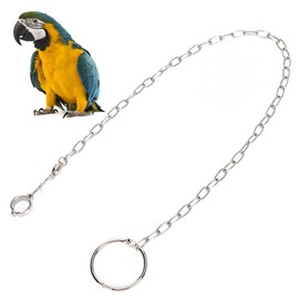 Stainless Steel Split Foot Chain for Large Parrots Pet Training Anklet Ring for Birds Parrots Macaw African Greys Parakeet Cockatoo Cockatiel Conure Lovebird