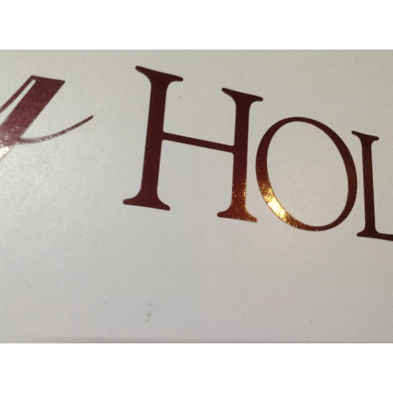 Holiday Rambler 2pc BY HOLIDAY RAMBLER CAMPER LOGO RV DECAL