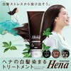 Tenster Henna Color Treatment, Brown, 8.5 fl oz (250 ml)