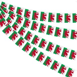 AhfuLife Welsh Flag Bunting 30pcs Flags, 10m Double Sided Wales Welsh Dragon Bunting for Rugby Football St David's Day World Cup 2023 Party Decorations