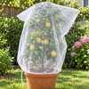 Plant Protection Bag Netting Mesh for Fruit Trees & Garden